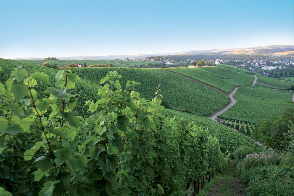 Domaine De La Foret Реміх Екстер'єр фото