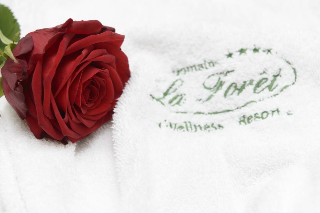 Domaine De La Foret Реміх Номер фото